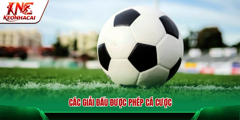 Các giải được phép tham gia cá cược